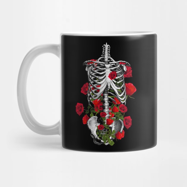 human anatomy rib cage by Collagedream